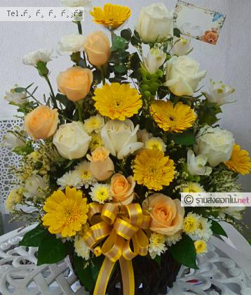 จัดส่ง  