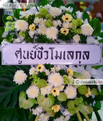 จัดส่งพวงหรีด	